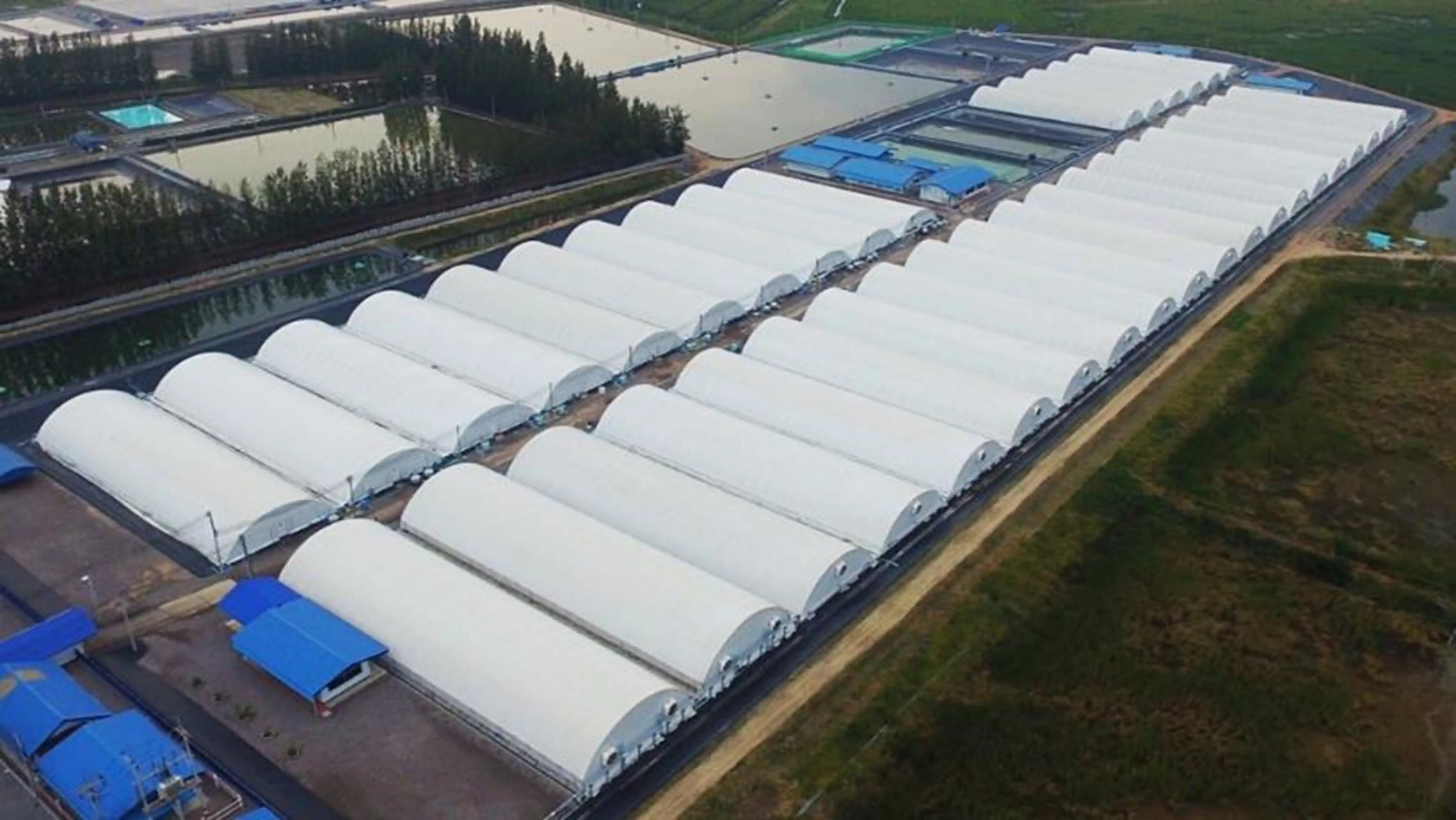 Multi-tier selection hall